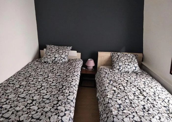 L'oasis Urbain * Dunkirk