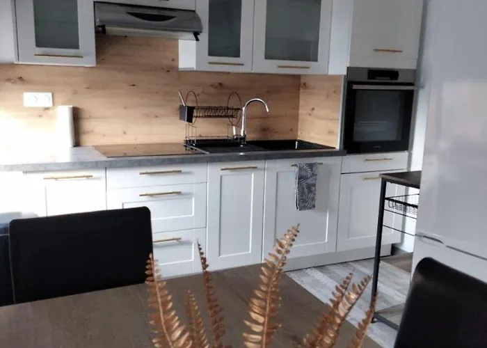 L'oasis Urbain * Dunkirk