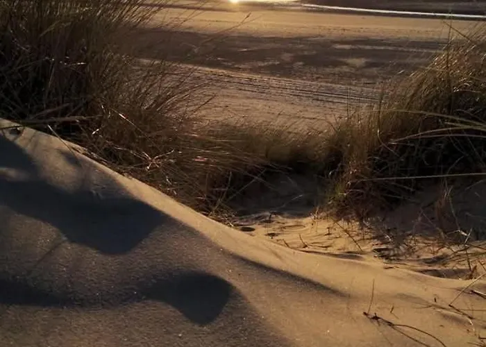 L'oasis Urbain Appartement *